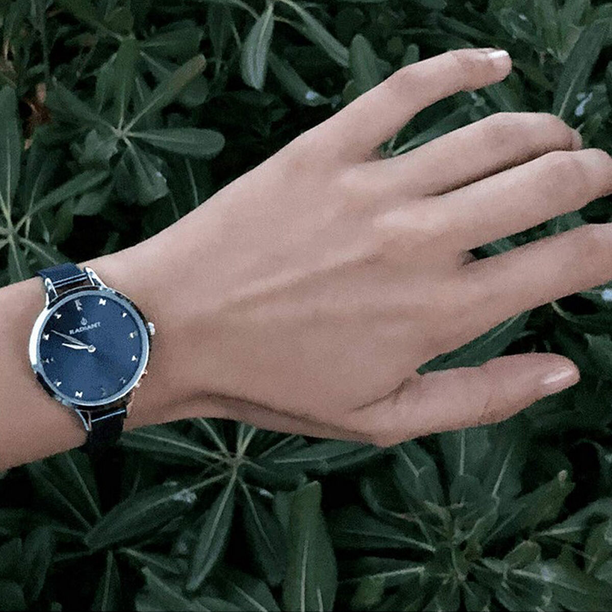 Horloge Dames Radiant (Ø 34 mm)